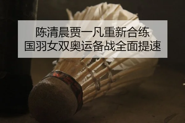 陈清晨贾一凡重新合练 国羽女双奥运备战全面提速